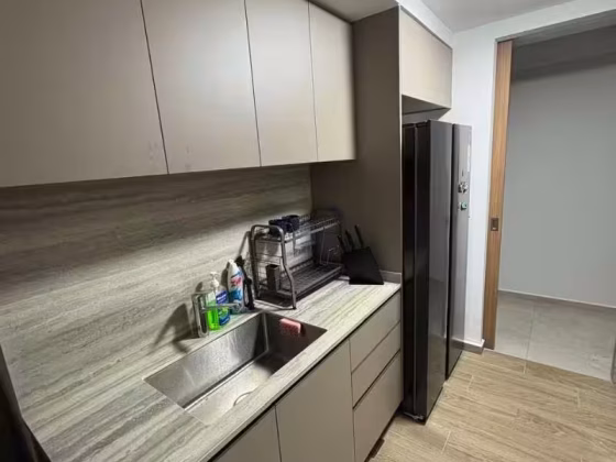 单间出租 • 西部集水区 •  Parc Central Residences • S$1200 • 5房(4臥室) • 普通房 照片