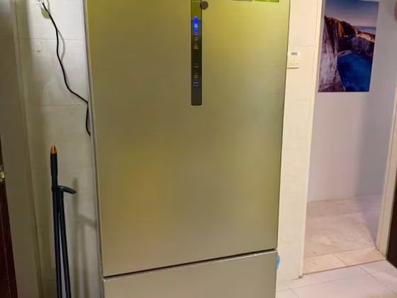 单间出租 • 宏茂桥 •  Azalea Park Condo • S$1300 • 共管公寓 • 普通房 照片