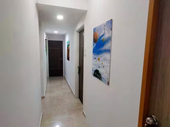 单间出租 • 宏茂桥 •  Azalea Park Condo • S$1300 • 共管公寓 • 普通房 照片