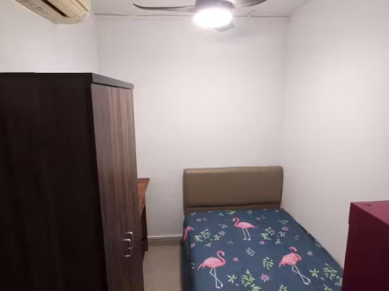 单间出租 • 纽顿 •  Balestier Point • S$900 • 共管公寓 • 普通房 照片