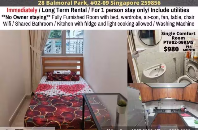 单间出租 • 兀兰 •  Pinetree Condo • S$980 • 共管公寓 • 普通房