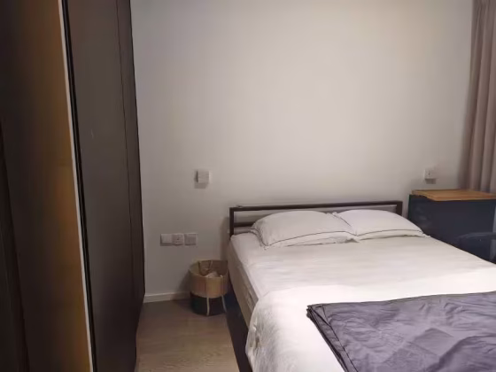 单间出租 • 金文泰 •  Avenue South Residence • S$2500 • 住宅公寓 • 普通房 照片