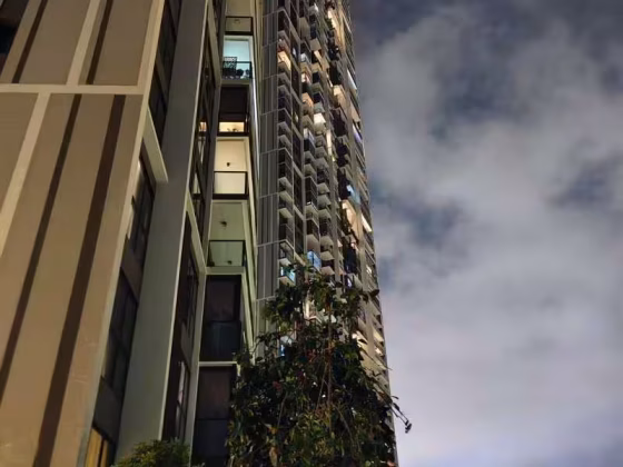 单间出租 • 金文泰 •  Avenue South Residence • S$2500 • 住宅公寓 • 普通房 照片