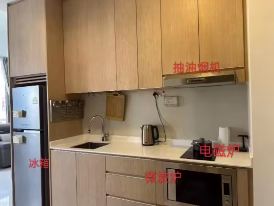 整套出租 • 武吉知马 •  Bedok Residences • S$3300 • 住宅公寓 •  照片