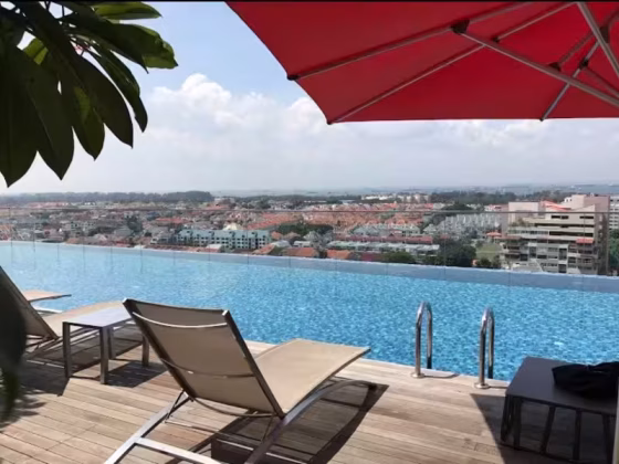 整套出租 • 武吉知马 •  Bedok Residences • S$3300 • 住宅公寓 •  照片