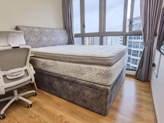 单间出租 • 碧山 •  Rivercove Residences • S$1500 • 共管公寓 • 普通房 照片