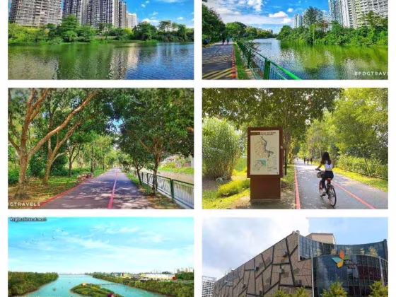 单间出租 • 碧山 •  Rivercove Residences • S$1500 • 共管公寓 • 普通房 照片
