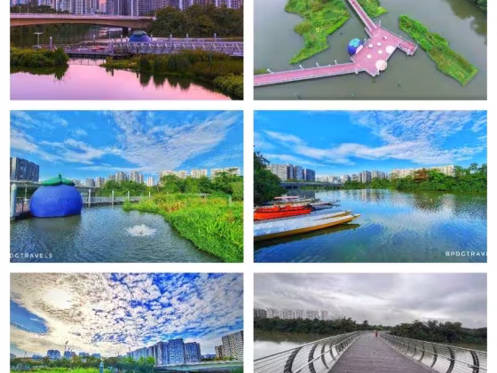 单间出租 • 碧山 •  Rivercove Residences • S$1500 • 共管公寓 • 普通房 照片
