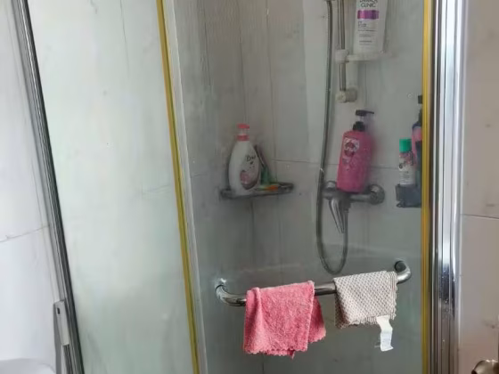 单间出租 • 市中心 •  Bishan Loft • S$1600 • 共管公寓 • 主人房 照片