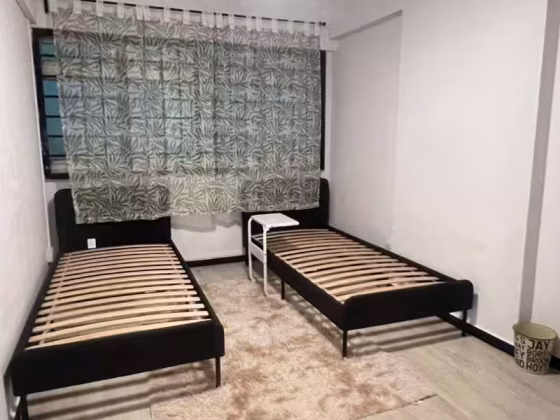 单间出租 • 芽笼 • 250 Choa Chu Kang Avenue 2 • S$500 • 3房(2臥室) • 普通房 照片