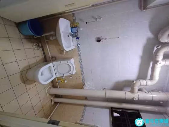 单间出租 • 红山 • 620 Bukit Panjang Ring Road • S$800 • 4房(3臥室) • 普通房 照片
