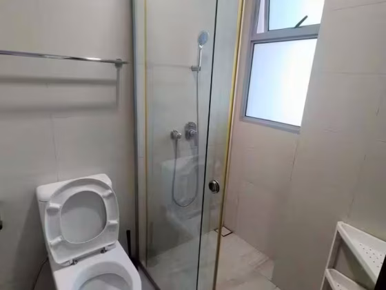 单间出租 • 中央集水区 •  Jade Residences • S$2700 • 住宅公寓 • 主人房 照片