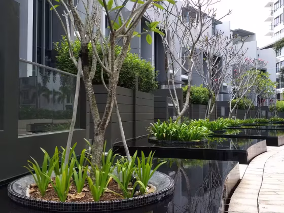 房屋出售 • 梧槽 •  Skies Miltonia • S$2750000 • 共管公寓 • 2562ft² / 238m² 照片