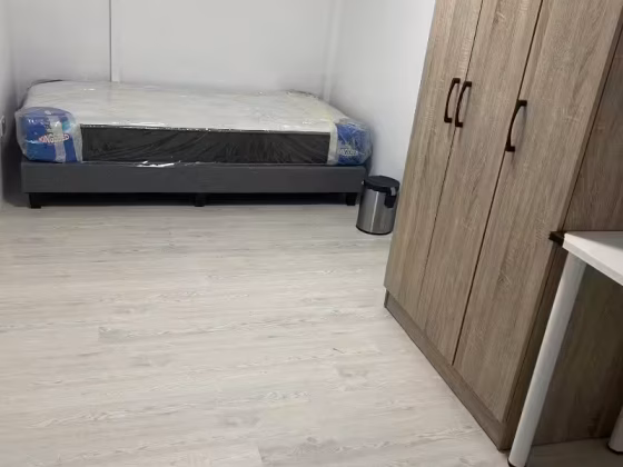 单间出租 • 欧南 •  Canberlin Lodge • S$900 • 联排排屋 • 佣人房 照片