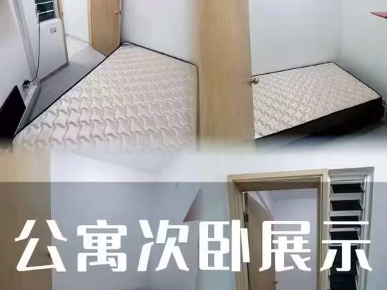 单间出租 • 市中心 •  Bishan Park Condominium • S$2000 • 住宅公寓 • 主人房 照片