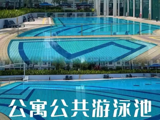 单间出租 • 市中心 •  Bishan Park Condominium • S$2000 • 住宅公寓 • 主人房 照片