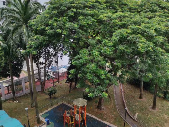 单间出租 • 金文泰 • 18 Telok Blangah Crescent • S$550 • 3房(2臥室) • 床位出租 照片