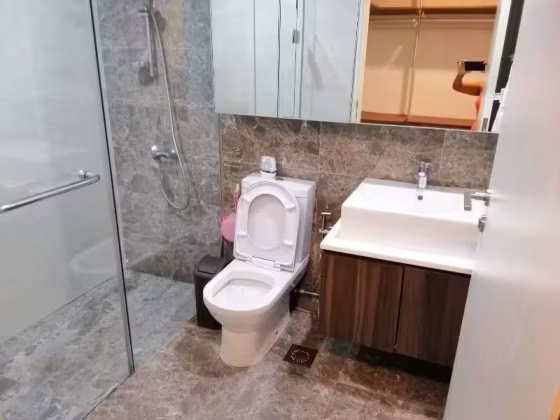 单间出租 • 碧山 •  Riversound Residence • S$1280 • 共管公寓 • 普通房 照片