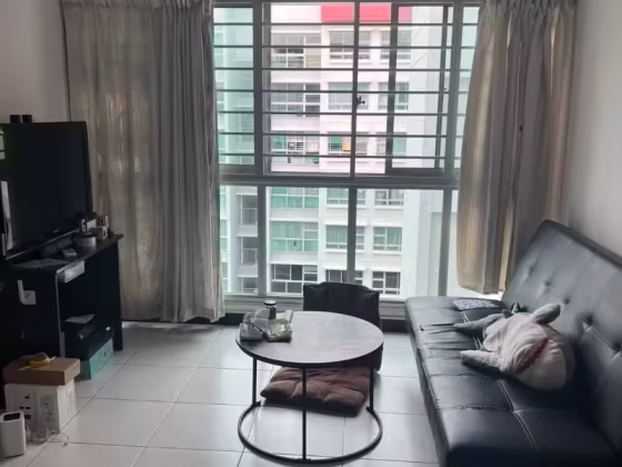 单间出租 • 樟宜 • 612D Punggol Drive • S$450 • 3房(2臥室) • 普通房 照片