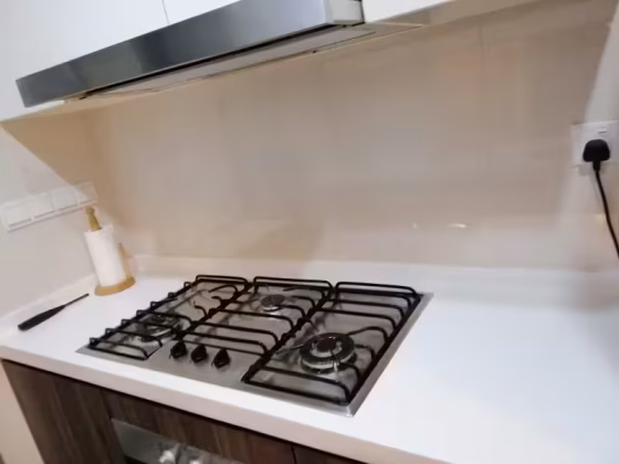单间出租 • 碧山 •  Esparina Residences • S$55 • 共管公寓 • 普通房 照片