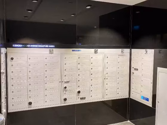 单间出租 • 碧山 •  Esparina Residences • S$55 • 共管公寓 • 普通房 照片