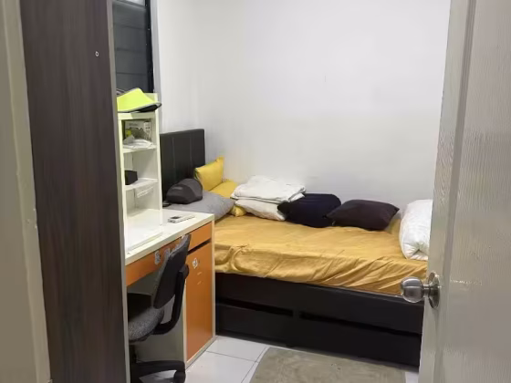 单间出租 • 纽顿 •  Caldecott Hill Estate • S$1800 • 住宅公寓 • 主人房 照片