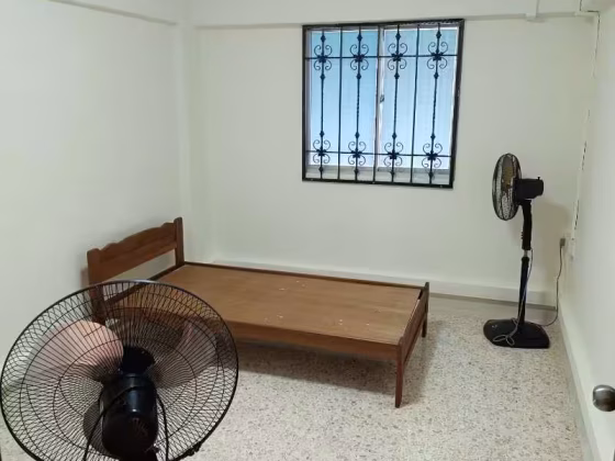 整套出租 • 乌节 • 442 Ang Mo Kio Avenue 10 • S$2800 • 3房(2臥室) • 700ft² / 65m² 照片