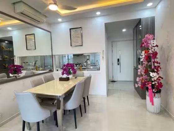 整套出租 • 碧山 •  Riversound Residence • S$4000 • 共管公寓 • 947ft² / 87m² 照片