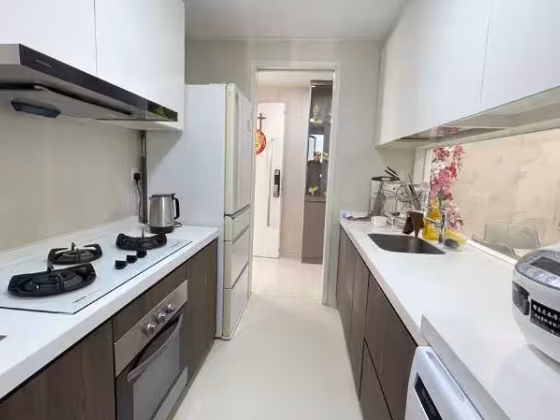 整套出租 • 碧山 •  Riversound Residence • S$4000 • 共管公寓 • 947ft² / 87m² 照片