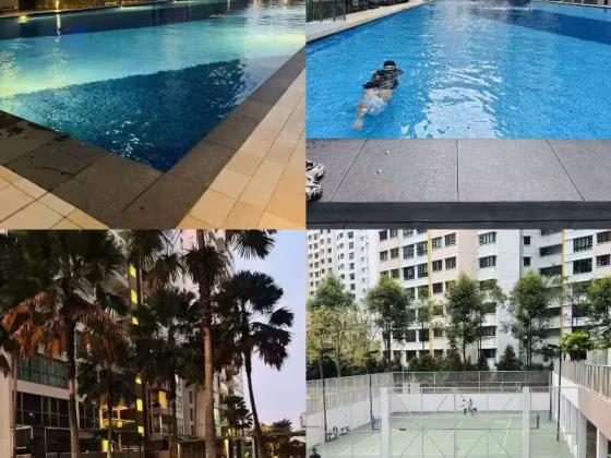 整套出租 • 樟宜 •  A Treasure Trove • S$3800 • 3房(2臥室) • 780ft² / 72m² 照片