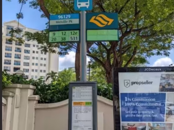 单间出租 • 西部集水区 •  Melville Park • S$1500 • 住宅公寓 • 主人房 照片