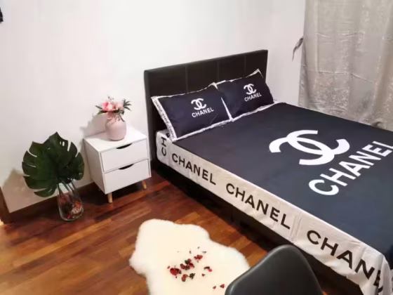 单间出租 • 南部群岛 •  Wilkie 87 • S$1550 • 住宅公寓 • 普通房 照片