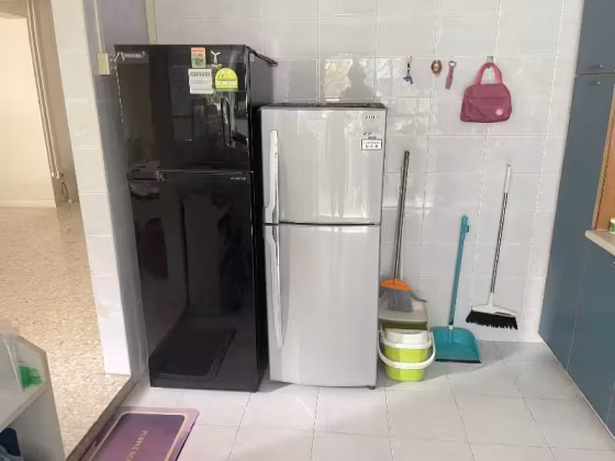 单间出租 • 武吉知马 • 552 Bedok North Avenue 1 • S$500 • 4房(3臥室) • 普通房 照片
