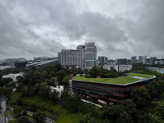 整套出租 • 蔡厝港 •  One-north Eden • S$5500 • 住宅公寓 • 689ft² / 64m² 照片