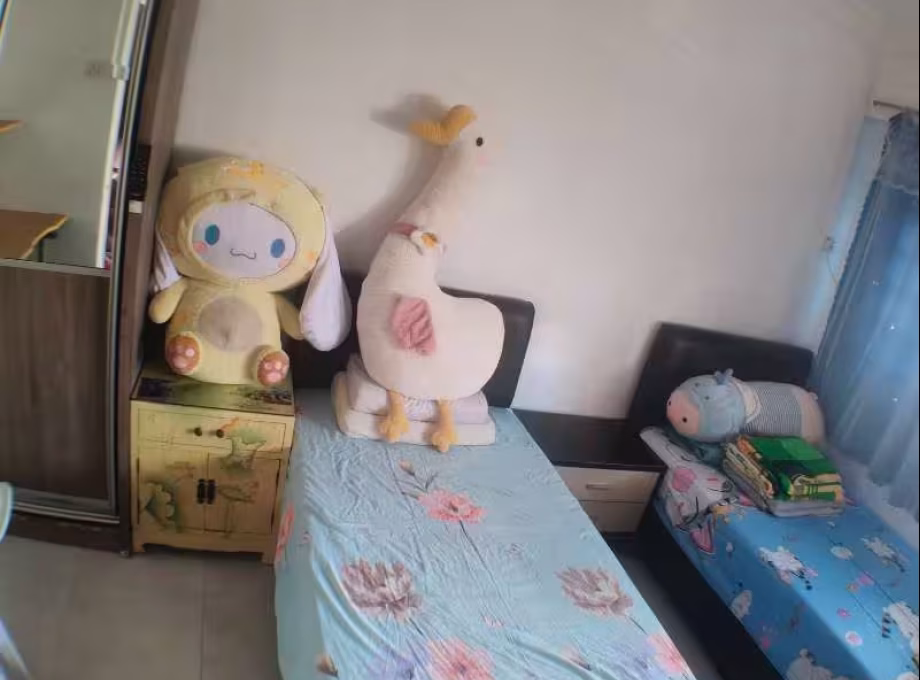单间出租 • 林厝港 • 856 Jurong West Street 81 • S$1000 • 4房(3臥室) • 普通房 照片