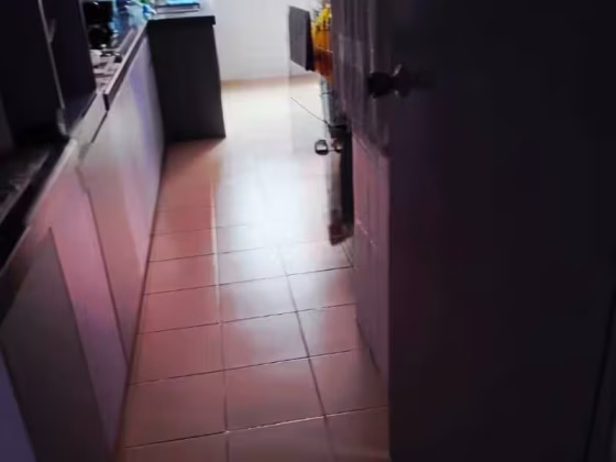 单间出租 • 义顺 • 390 Yishun Avenue 6 • S$900 • 4房(3臥室) • 普通房 照片