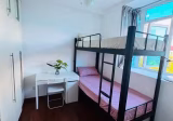单间出租 • 武吉知马 •  The Champagne • S$650 • 住宅公寓 • 普通房