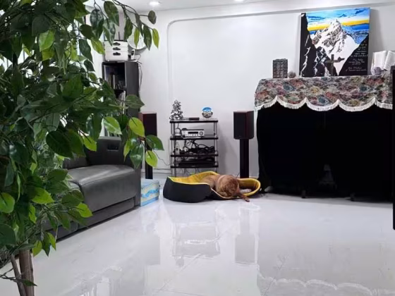 房屋出售 • 市中心 • 146 Bishan Street 11 • S$680000 • 4房(3臥室) • 904ft² / 83m² 照片