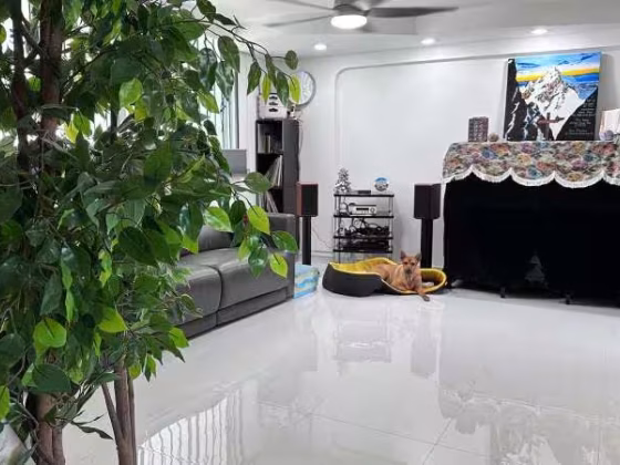 房屋出售 • 市中心 • 146 Bishan Street 11 • S$680000 • 4房(3臥室) • 904ft² / 83m² 照片