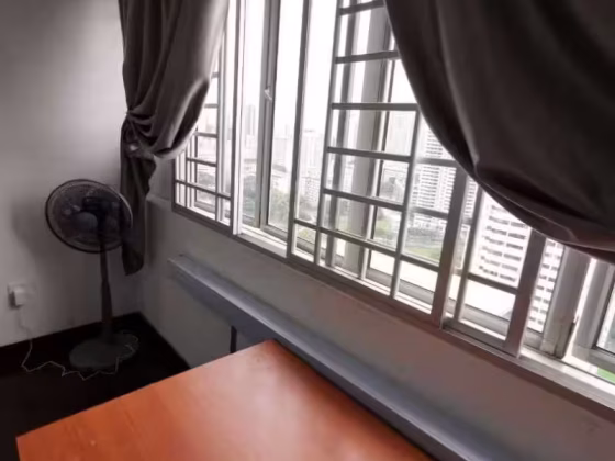 单间出租 • 马林百列 •  Braddell View • S$1200 • 住宅公寓 • 普通房 照片