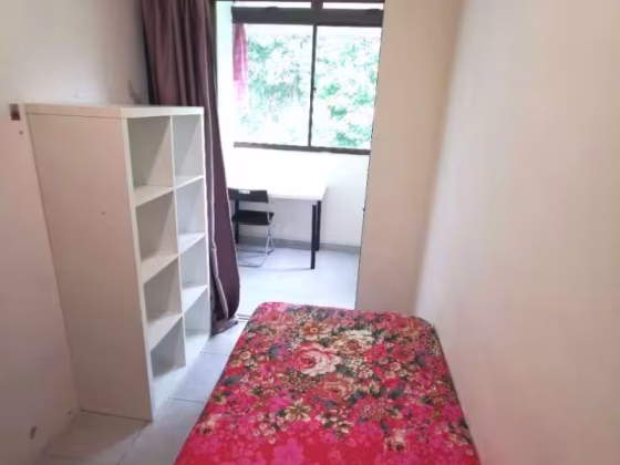 单间出租 • 登加 •  Cavenagh Gardens • S$1150 • 住宅公寓 • 普通房 照片