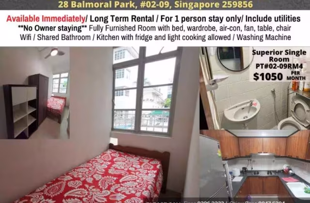单间出租 • 兀兰 •  Pinetree Condo • S$1050 • 共管公寓 • 普通房