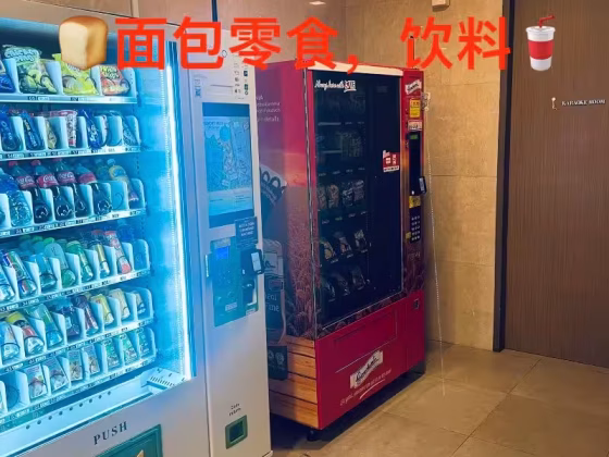 单间出租 • 中央集水区 •  Botanique At Bartley • S$1200 • 住宅公寓 • 普通房 照片