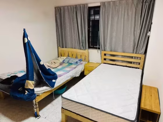 单间出租 • 西部集水区 • 388 Tampines Street 32 • S$500 • 4房(3臥室) • 普通房 照片