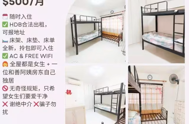 单间出租 • 后港 • 507A Wellington Circle • S$500 • 3房(2臥室) • 床位出租