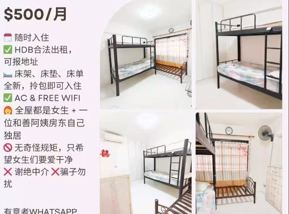 单间出租 • 后港 • 507A Wellington Circle • S$500 • 3房(2臥室) • 床位出租 照片