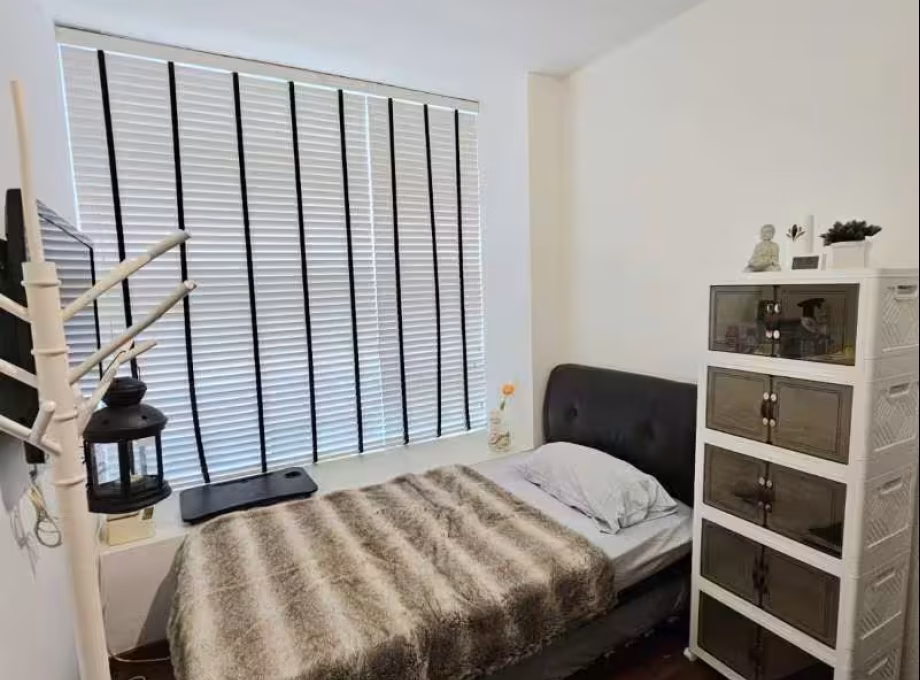 单间出租 • 武吉知马 •  Prestige Residence • S$1200 • 住宅公寓 • 普通房 照片