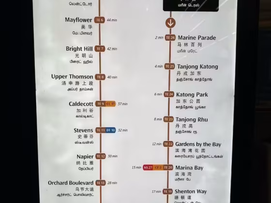 单间出租 • 武吉知马 •  Gracious Mansions • S$1500 • 住宅公寓 • 普通房 照片