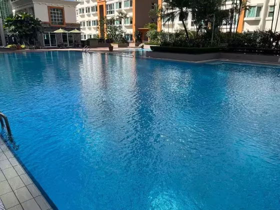 单间出租 • 新加坡河 •  Evergreen Park • S$1300 • 住宅公寓 • 主人房 照片