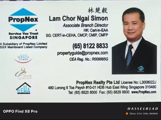 单间出租 • 诺维娜 •  Rajah Towers • S$888888 • 住宅公寓 • 主人房 照片